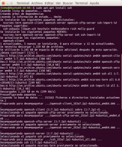 apt-get install ssh (1)