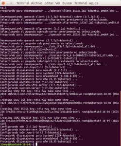 apt-get install ssh (2)
