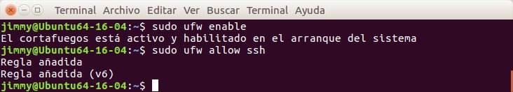 ufw enable & ufw allow ssh