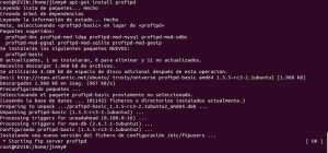 apt-get install proftpd