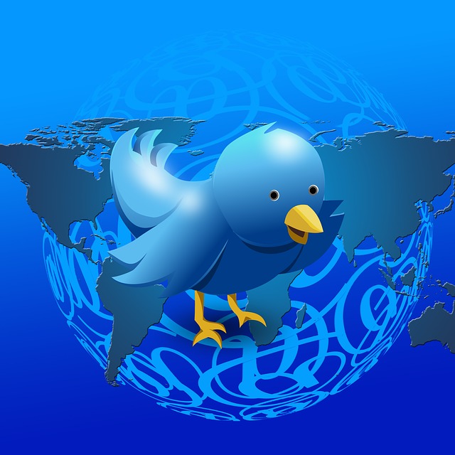 Evento sobrevenido caso Twitter