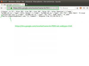 Consulta a Google de una Autorización de la Autoridad de Certificación (CAA)