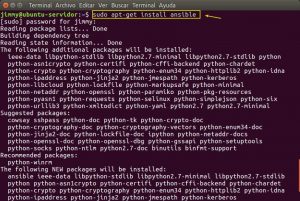 sudo apt-get install ansible