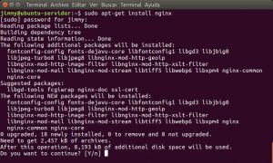 sudo apt-get install nginx