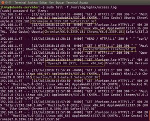 sudo tail -f /var/log/nginx/access.log
