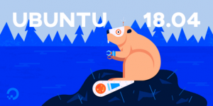 Ubuntu 18 Bionic Beaver (imagen: digitalocean.com)