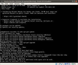 Ubuntu Servidor 18 apt-get upgrade