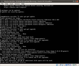 Ubuntu Servidor 18 sudo apt-get dist-upgrade