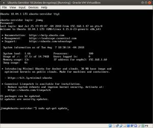 Ubuntu Servidor 18 sudo apt-get update