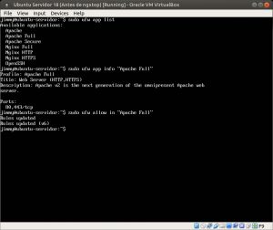 Ubuntu Servidor 18 sudo ufw app list