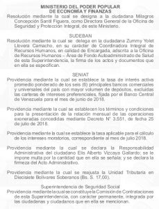 Gaceta Oficial 41.479 sumario detalle