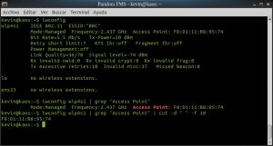 Comandos iwconfig, grep y cut para extraer la MAC ADDRESS