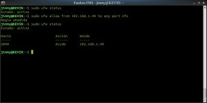 Configurando el muro de fuego en Ubuntu (servidor NFS)