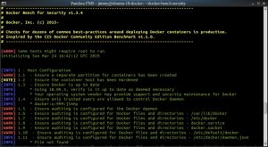 Ejecución por vez primera del bash «docker-bench-security.sh»
