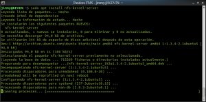 sudo apt install nfs-kernel-server