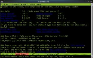 Editor de textos y macros GNU Emacs