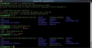 Terminal de Comandos ejecutando tres órdenes básicas