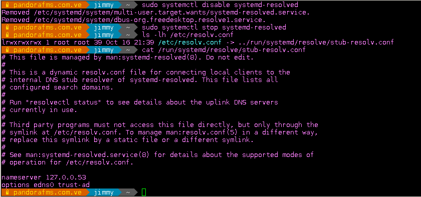 sudo systemctl disable systemd-resolved