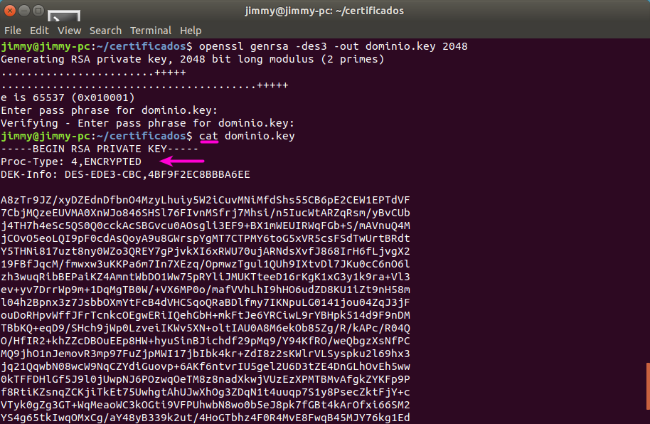 openssl genrsa -des3 -out domain.key 2048