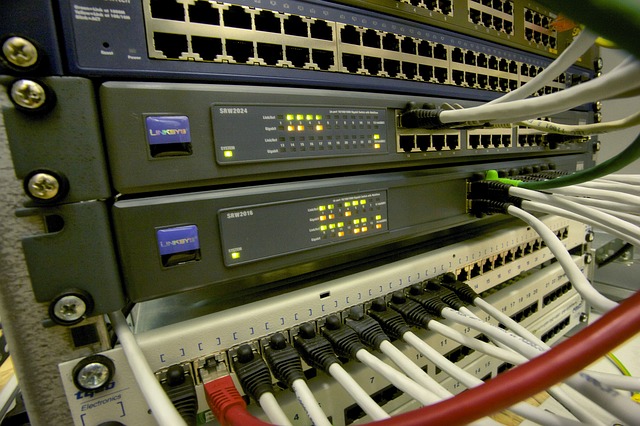 Concentradores y enrutadores ( https://pixabay.com/photos/network-connection-pc-web-address-197300/ )