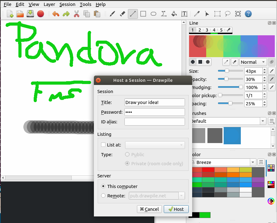 Drawpile iniciando un servicio de anfitrión para exponer idea gráfica