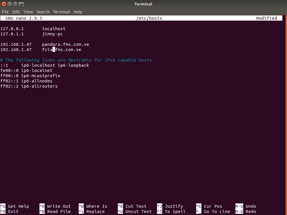 Modificando archivo hosts en Ubuntu 18
