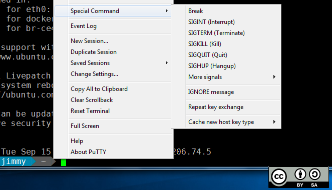 PuTTY special commands for SSH